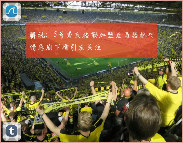 解说：5号秀瓦格勒加盟后马瑟林行情急剧下滑引发关注