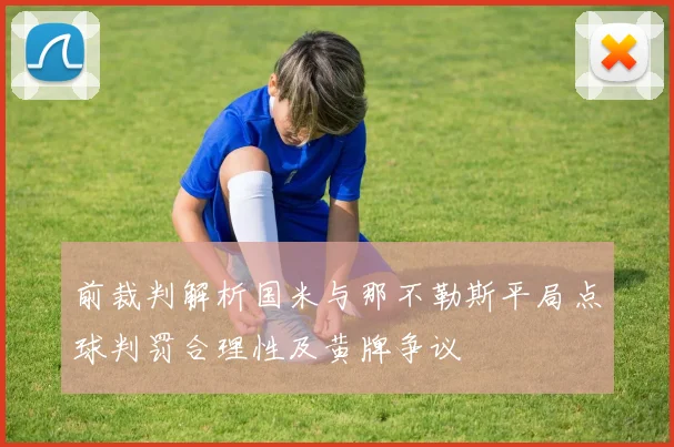 前裁判解析国米与那不勒斯平局点球判罚合理性及黄牌争议