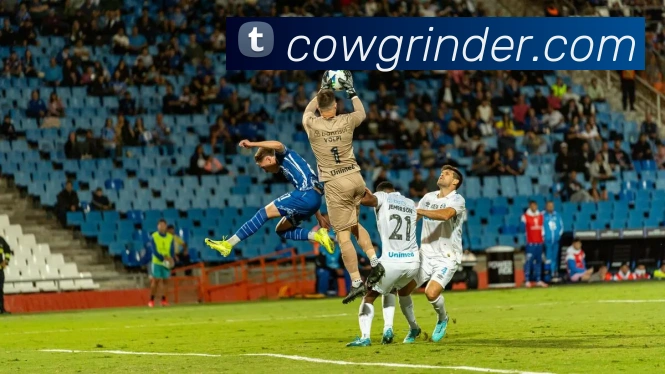 多彩内容专区